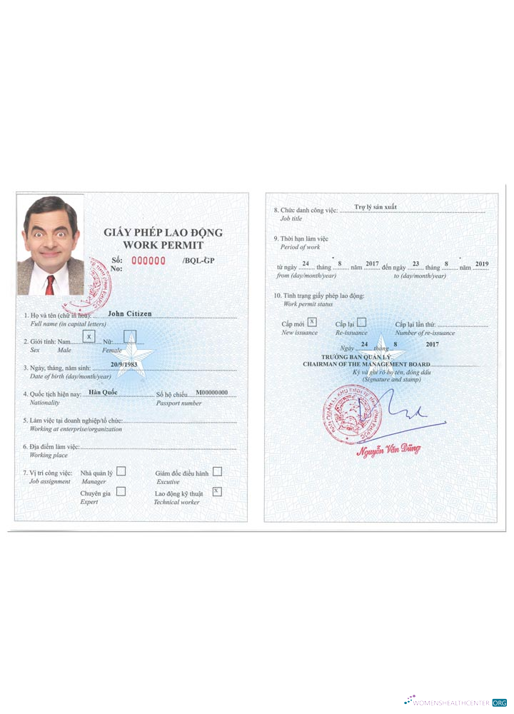 Download VIETNAM work permit version 2 Photoshop template
